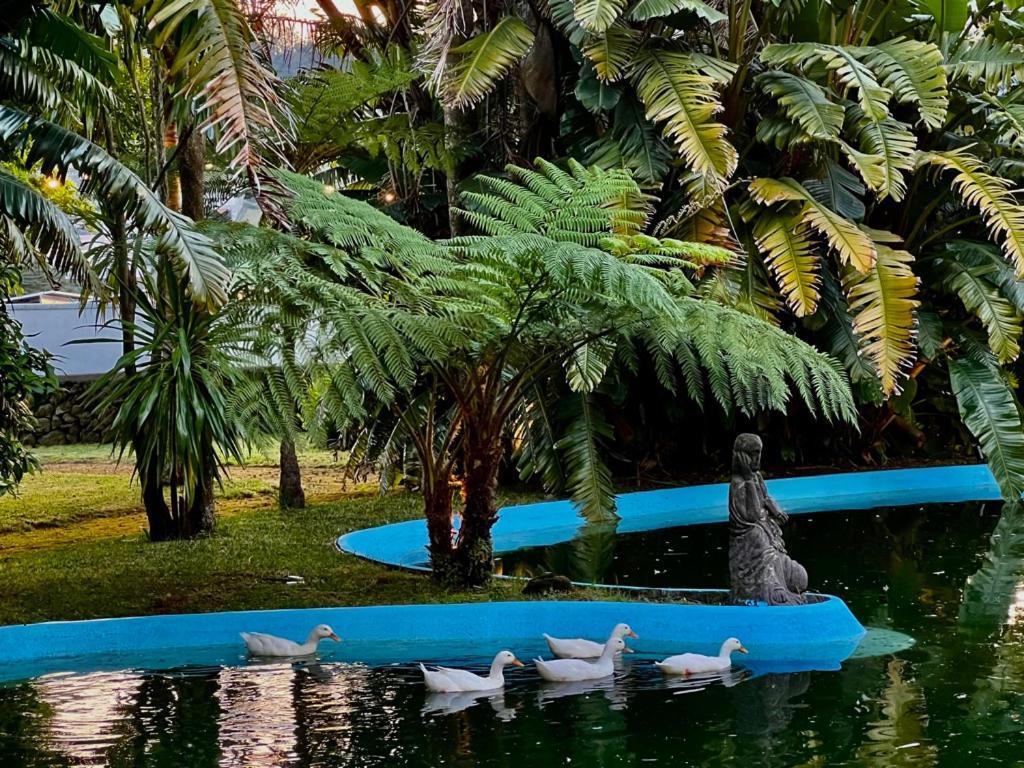 Quinta Da Nasce Agua Hotel apartamentowy 3*